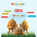 Nutricera – Pure Homemade Cereal Sugar-Free Cereal (400 GM)
